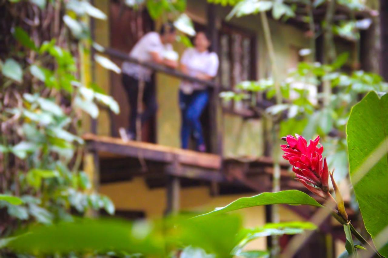 Chatos Cabanas El Panchan Palenque Buitenkant foto
